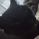 PEPPER
