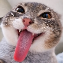 emoji_47 Discord Emoji from 𝐓-𝐋-𝐖