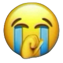 sonion custom emote - 𝓒𝓱𝓲𝓵𝓵𝓗𝓾𝓫 𝓒𝓸𝓶𝓶𝓾𝓷𝓲𝓽𝔂