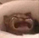 :c26: