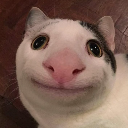 :20260828152803:
