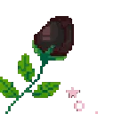 2996roseblack