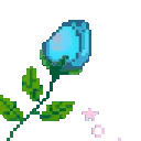 3289roselightblue