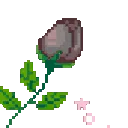 4799rosegray