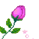 7805rosepink