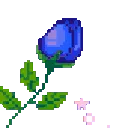 8837roseblue