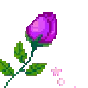 9325rosepurple