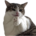 heyaa Discord Emoji from 𝓒𝓱𝓲𝓵𝓵𝓗𝓾𝓫 𝓒𝓸𝓶𝓶𝓾𝓷𝓲𝓽𝔂