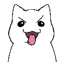 gato_loco