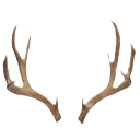 12419deerantlers