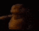 FreddyBackshots