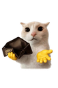 Poorcat Discord sticker | 𝒞𝒶𝓉 𝒞𝒶𝒻ℯ́😽🐾