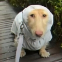 :emoji_21:
