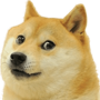 doge custom emote - The Way of Christ