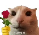 emoji_68 Discord Emoji - 24/7 Endless Chill