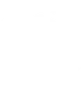 RobuxIconWhite