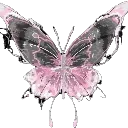 b2fbutterfly