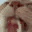 c_catlick animated GIF emoji from LETS MEOWWW