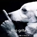 Dog with a human hand held up to its snout making a shushing gesture with the text nao grita.