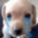 A blurry puppy with bright blue cartoon tear streaks running down its face.