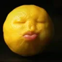 <:Zest:1543654327800045701>