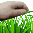 touchgrass