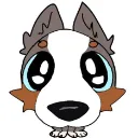 stares_at_you