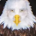 MURICAH