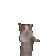 ycatdance