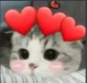cat_heart