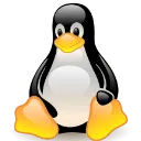 platform_linux