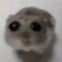 sadhamster custom emote | 𝕊𝕜𝕖𝕖𝕥𝕖𝕣 𝔹𝕠𝕪𝕤!!!