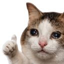 :catcried: