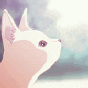 8nanaCat animated emote | 𝕊𝕜𝕖𝕖𝕥𝕖𝕣 𝔹𝕠𝕪𝕤!!!