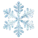 005_frozen