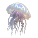 001_jellyfish