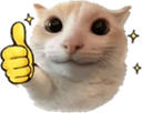 upvote Discord sticker from Dumpster Fire