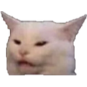 Smudge the white cat looking confused and slightly disgusted with a furrowed brow.