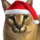 Big Floppa the caracal wearing a red and white Santa hat.