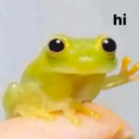 A small green frog sitting on a finger and waving its hand with the text hi above it.