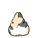 :bnuy:
