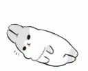 :bnuy: