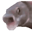 :OOOO: