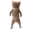 ket animated emote | †༒ 𝕽𝖆𝖇𝖎𝖉 𝖂𝖎𝖋𝖎 ༒†