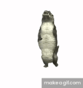 dancingcrocodile animated emote - †༒ 𝕽𝖆𝖇𝖎𝖉 𝖂𝖎𝖋𝖎 ༒†