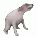 dancingdoggy animated Discord emote | †༒ 𝕽𝖆𝖇𝖎𝖉 𝖂𝖎𝖋𝖎 ༒†