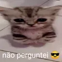 4nao