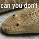 :CanUDont: