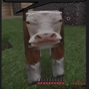A Minecraft cow faces forward with a blank, intense expression against a grassy background.