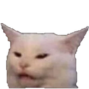 whatulookinat custom emote from Zomboid Evolved: Season 1